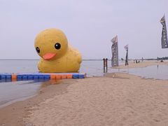 -天津东疆湾沙滩景区