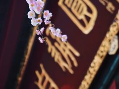 -青羊宫