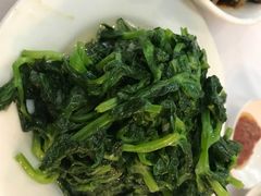 清抄豆苗-鹿鸣春