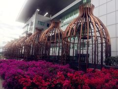 -广州白云机场雅高铂尔曼大酒店