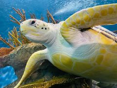 -上海海洋水族馆