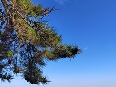 -青岛海滨风景区