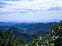 -六里坪国家森林公园