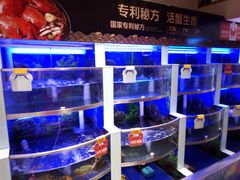 水产区-七欣天(上海淮海路新尚广场店)