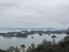 -全乐鱼馆·淳牌有机鱼直营店