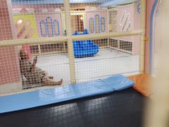 -海韵之星邮轮水会(明发商业广场店)