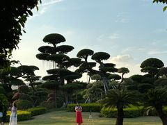 -南宁南湖公园