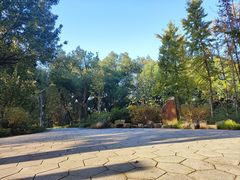 -上海市保健医疗中心