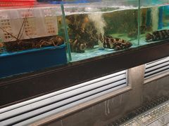 -阿伟海鲜楼·福建菜(延寿店)