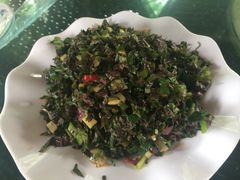 -草根堂农场