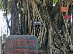 -船政文化景区-罗星塔公园