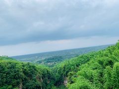 -川西竹海景区