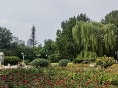 -睦南公园