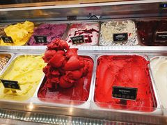 -Patagonia Chocolates(皇后镇店)