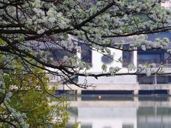 -八大山人梅湖景区