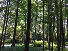 -杭州西湖风景名胜区-章太炎纪念馆