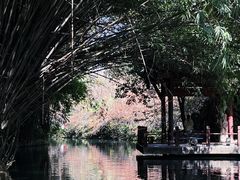 -棠湖公园