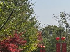 -杭州半山国家森林公园