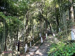 -莫干山风景区