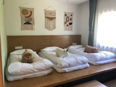 -太阳岛度假酒店