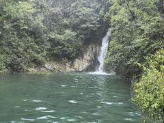 -鹿院坪生态旅游景区