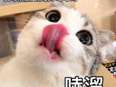 -万达影城(锦华万达广场IMAX店)