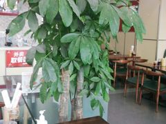 -李先生牛肉面大王(营口大润发店)