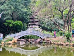 -深圳国际园林花卉博览园