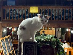 -龙姐私房菜(和顺古镇店)