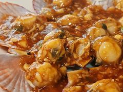 蚝油扇贝-华春餐馆(鱼山路店)