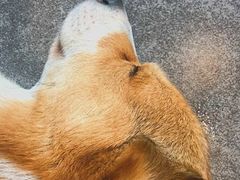 -22cafe