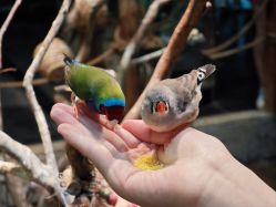 点击看大图 -Zoolung Zoolung动物主题公园(海信广场店)