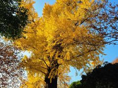 -狼山风景名胜区