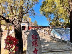 -红螺寺