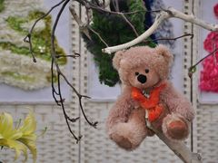 -上海鲜花港