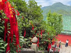 -武当山风景区-太子坡