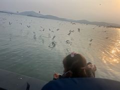 -蠡湖大桥公园