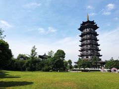 -洋湖国家湿地公园