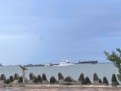 -上海滨江森林公园
