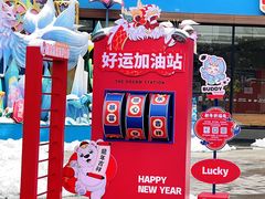 -海合安武汉极地海洋公园