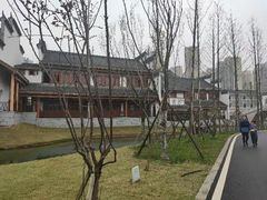 -洋湖国家湿地公园