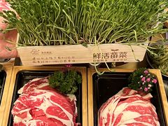 -湊湊火锅·茶憩(南京万象天地店)