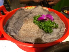-钢管厂五区小郡肝火锅串串香(总店)