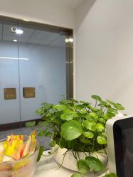 -苗方清颜·祛痘皮肤管理