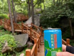 -大岭沟猕猴桃谷风景区