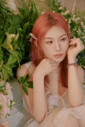 -WAVE SODA摄影工作室