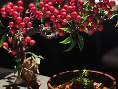 -魔厨私房菜(观音桥店)
