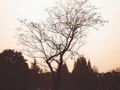 -良渚古城遗址公园