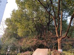 -杭州半山国家森林公园