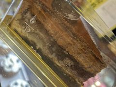 -TOUCH泰奇(奉贤宝龙城市广场店)